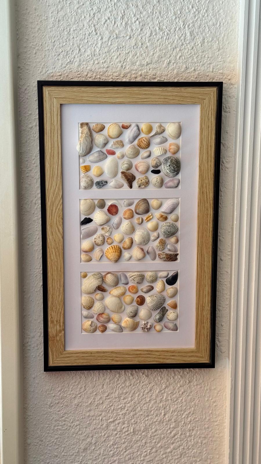 Decoración natural con conchas y piedras marinas - Arte artesanal único