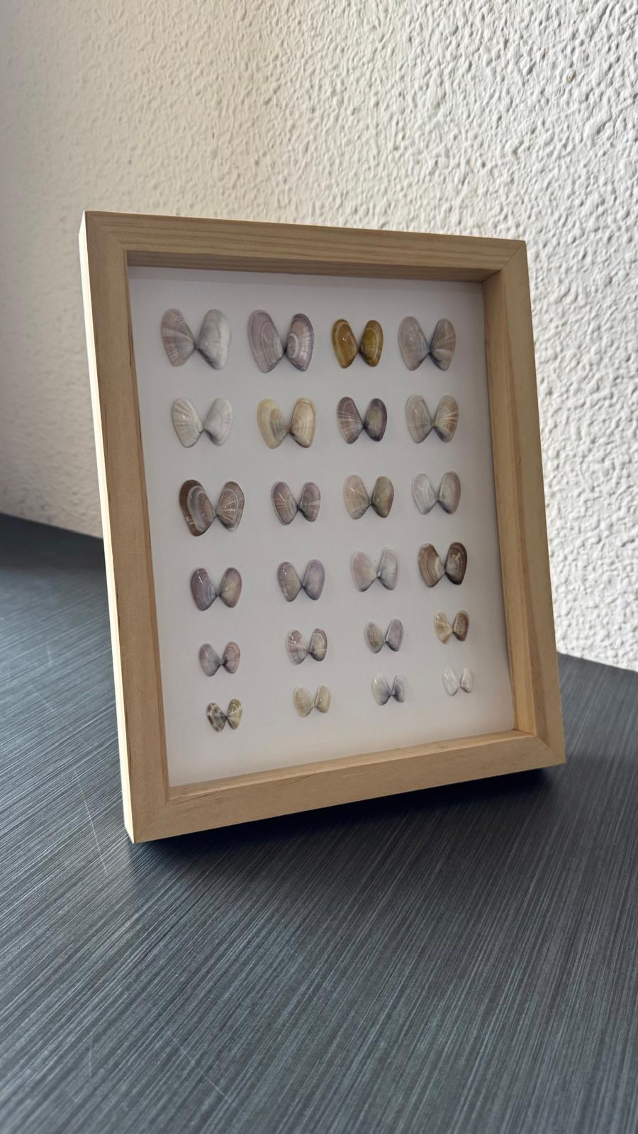 Arte natural con piedras y conchas - Cuadro decorativo hecho a mano en Alicante